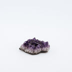 Amethyst crystal cluster on a white background