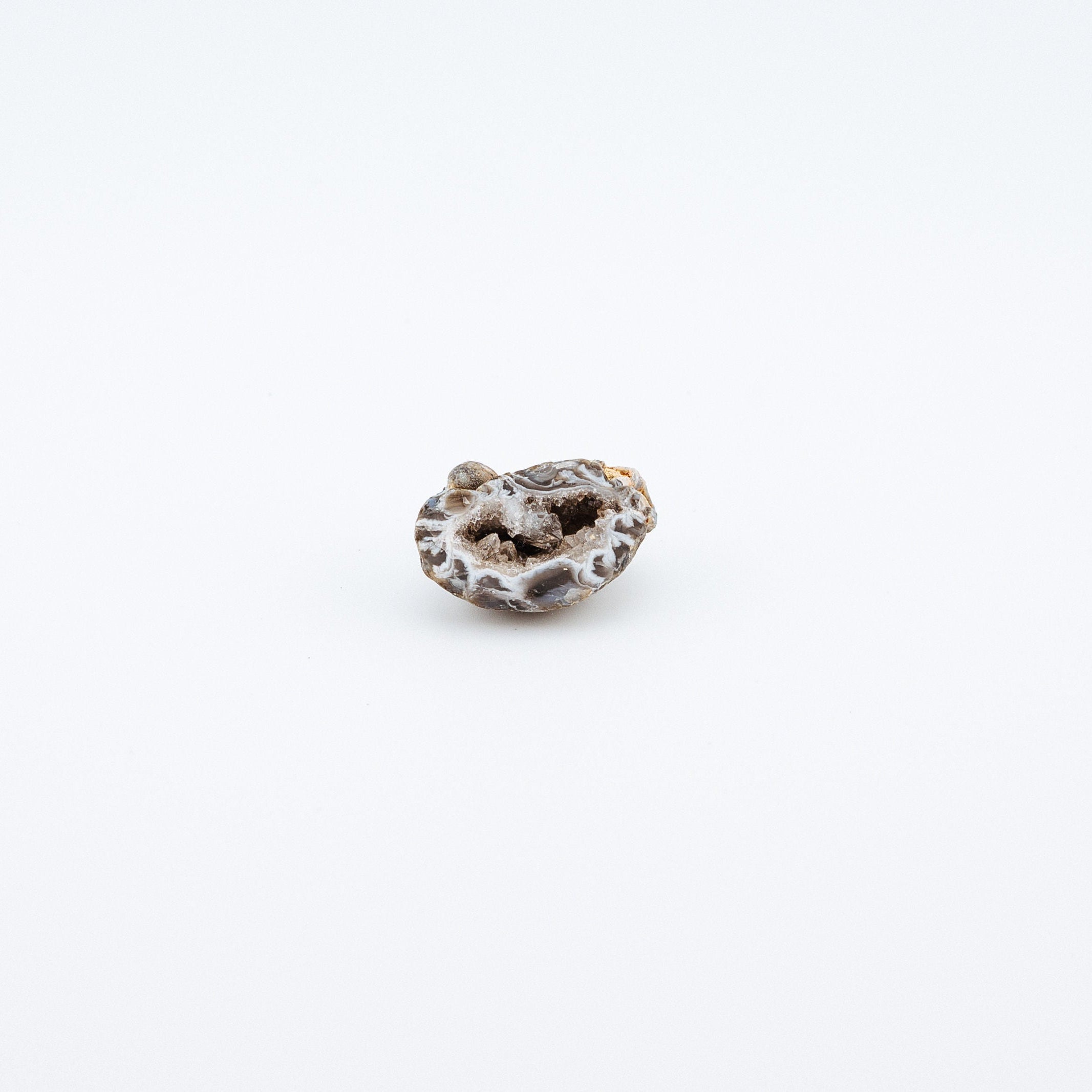 Small gray geode on a white background