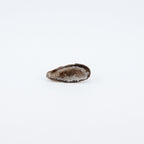 Small brown geode on a white background