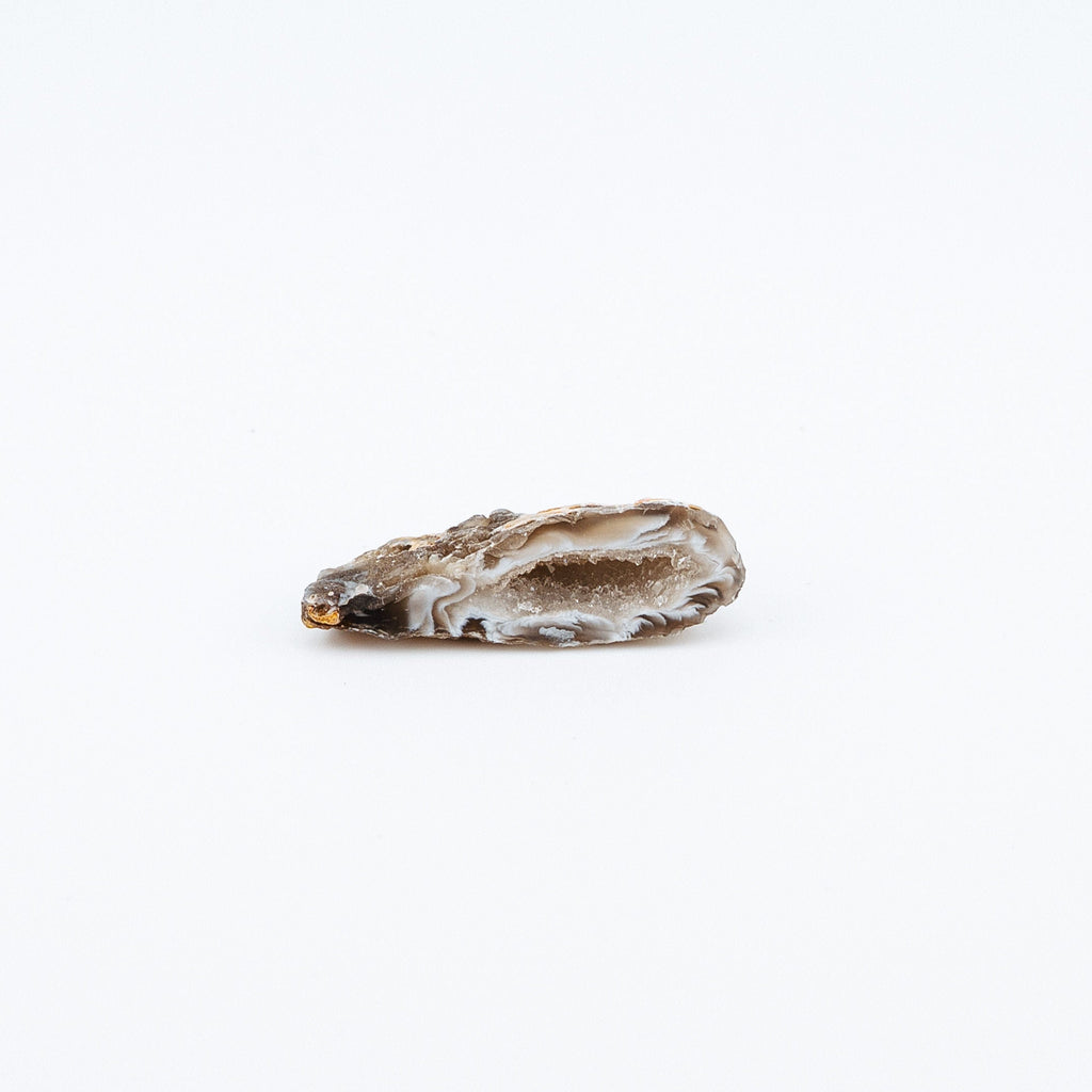 Small brown geode on a light background