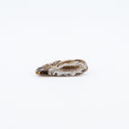 Small brown geode on a light background
