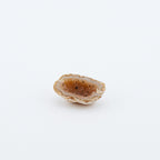Small rose geode on a white background