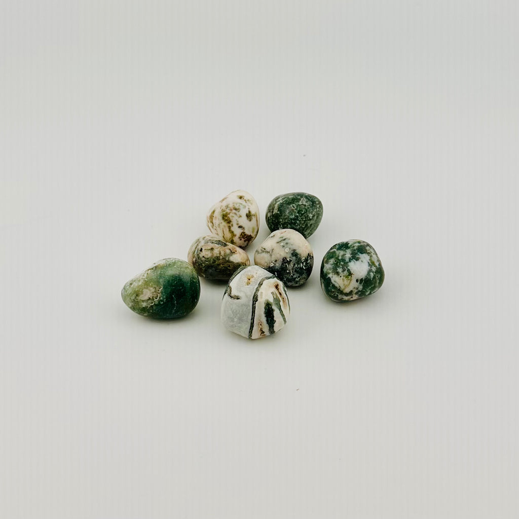 Green Tree Agate Tumble
